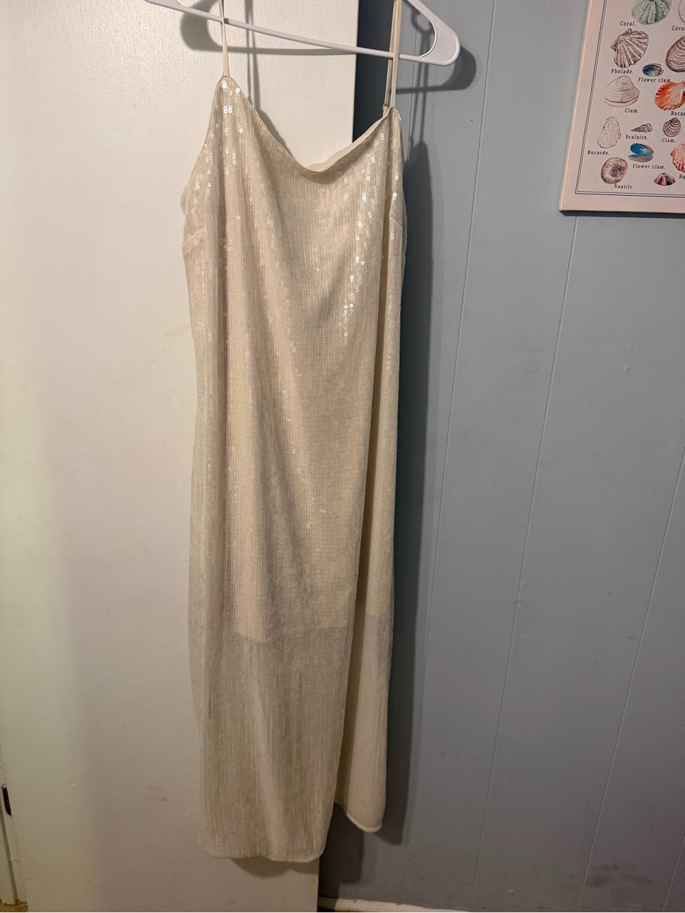 Hutch Cream Sequin Maxi Slip Dress